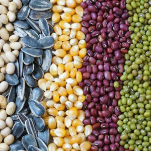 Тұқымдарды автоматты түрде орау машинасы